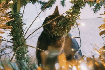 Прогноз погоды в Украине / Фото: pexels.com