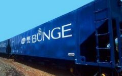 bunge