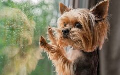 Прогноз погоди в Україні / Фото: Daily Mail