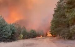 Лесные пожары в пригороде Воронежа россия