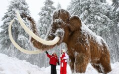мамонт