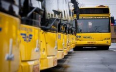 общественный транспорт автобусы