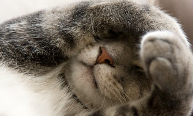 Прогноз погоды в Украине