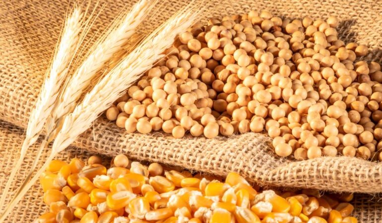 Агропродукция