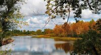 Прогноз погоды в Украине / Фото: Pixabay