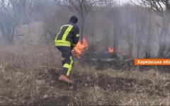 Пожары в Украине, ГСЧС, ряд областей в Украине