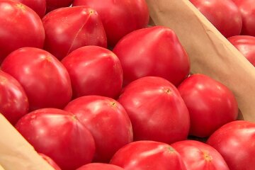 Ціни на помідори в Україні
