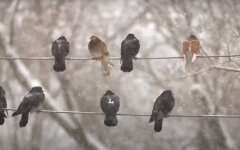 Прогноз погоды на 4 декабря