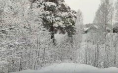 снег