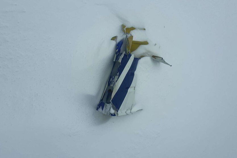 В Австрії розбився приватний літак / Фото: DAVID RAUSCHER