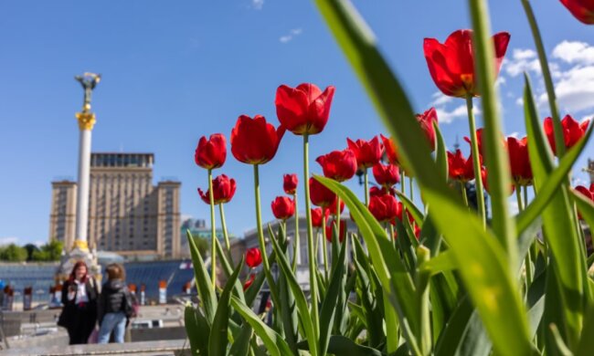 Прогноз погоды в Украине