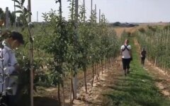 Работа в Польше