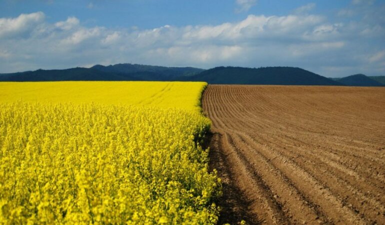 ukrainskie-chernozemyi