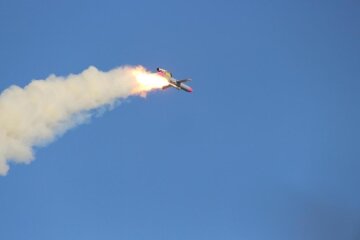 Ракета "Фламинго"