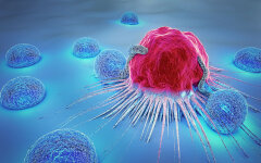 Рак. Онкология