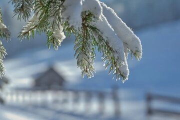 Прогноз погоды в Украине