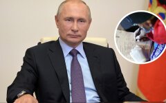 США вслед за ЕС отреагировали на перепись населения России в оккупированном Крыму
