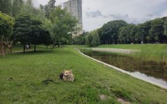 Прогноз погоды в Украине / Фото: Хвиля