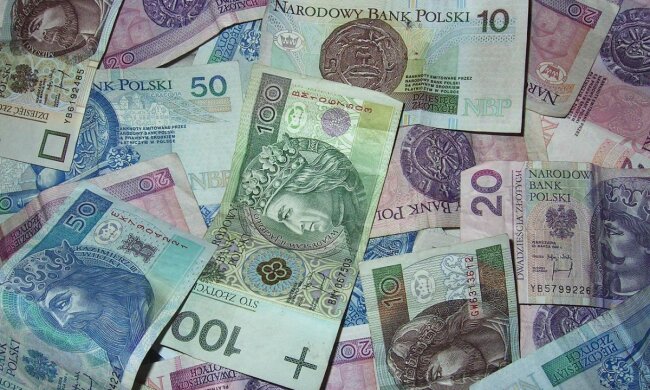 Польські злоті / Фото: pixabay.com