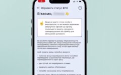 Получить статус ВПЛ через "Дию", иструкция