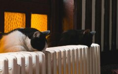 Опалювальний сезон в Україні / Фото: Pexels