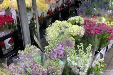 Цветы, 8 марта, цены