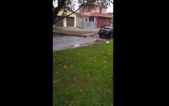 В Херсоне взорвалась самодельная бомба