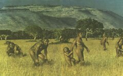 австралопитеки