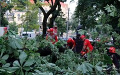 На Киев, Днепр и Харьков надвигаются грозы с градом, а Львов, Закарпатье и Одессу ждет жара +30