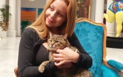 Тина Кароль и кот Степан