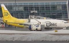 Bees Airline