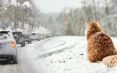 Погода в Украине