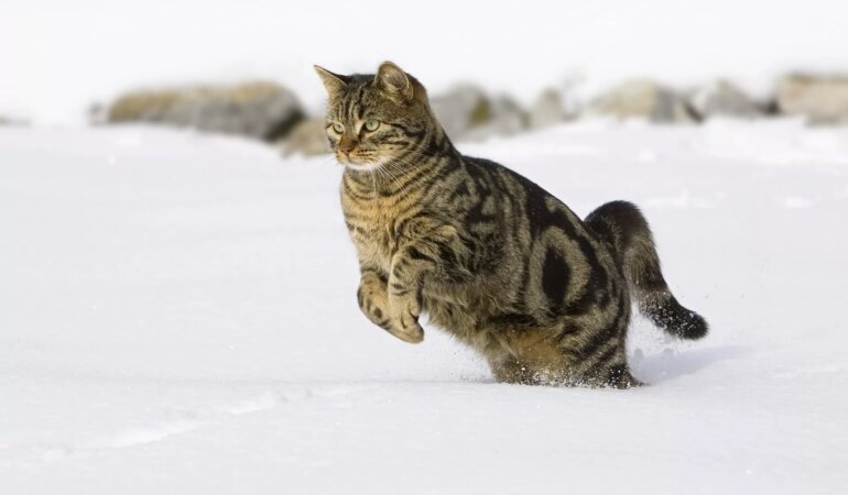 Прогноз погоди в Україні