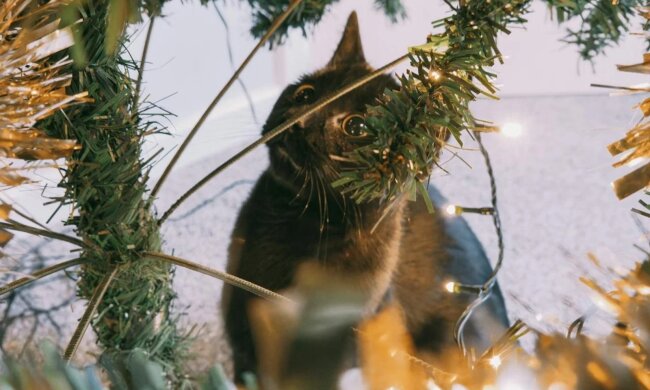 Прогноз погоды в Украине / Фото: pexels.com
