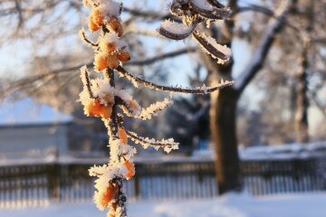 Прогноз погоди в Україні / Фото: РБК-Україна