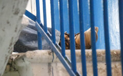 киев метрополитен