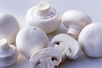 Ціни на гриби