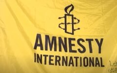 Amnesty International, Романенко