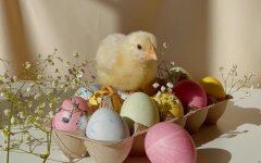 Погода в Украине, погода в Киеве, прогноз погоды, погода на Пасху