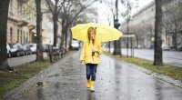 Погода в Україні