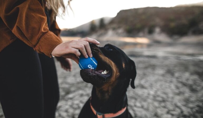 Прогноз погоды в Украине / Фото: Unsplash