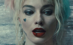 Хищные птицы