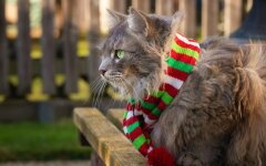 Прогноз погоди в Україні / Фото: Unsplash