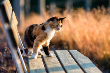 Прогноз погоды в Украине / Фото: Unsplash