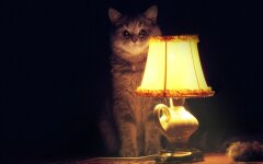 Відключення світла