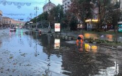 Спасение собаки во время потопа в Киеве стало хитом соцсетей: видео