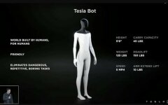 Tesla Bot