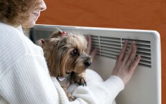 Отключение тепла / Коллаж: Слово и дело