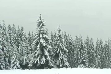 Первый снег, Закарпатье