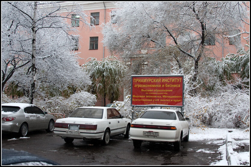 Первый снег в Хабаровске